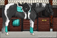 Horse Color:Black Tobiano 