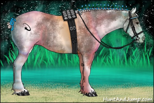 Horse Color:White Spotted Silver Black 