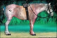 Horse Color:White Spotted Silver Black 