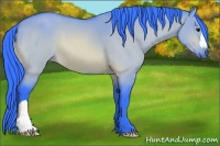 Horse Color:Watercolor Bay Dun