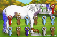 Horse Color:Watercolor Bay Splash Tobiano Frame Varnish
