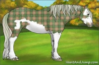 Horse Color:Plaid  Silver Black Splash Frame 