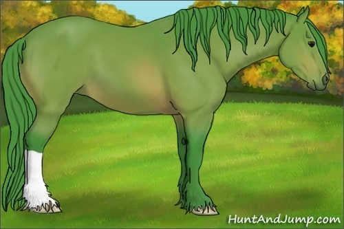 Horse Color:Watercolor Bay 