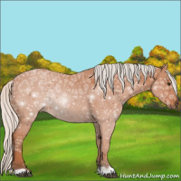 Horse Color:Silver Bay Ice 