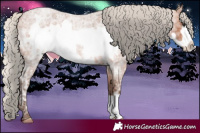 Horse Color:Silver Bay Ice Roan Frame 