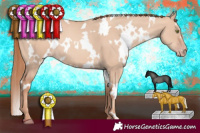 Horse Color:White Spotted Gold Champagne Dun