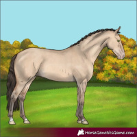 Horse Color:Amber Champagne Dun Rabicano