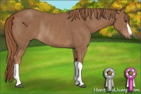 Horse Color:Chestnut Rabicano 