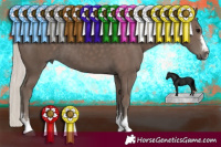 Horse Color:Silver Black 