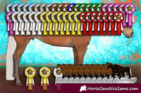 Horse Color:Silver Bay Rabicano