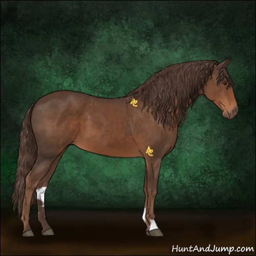 Horse Color:Liver Chestnut 
