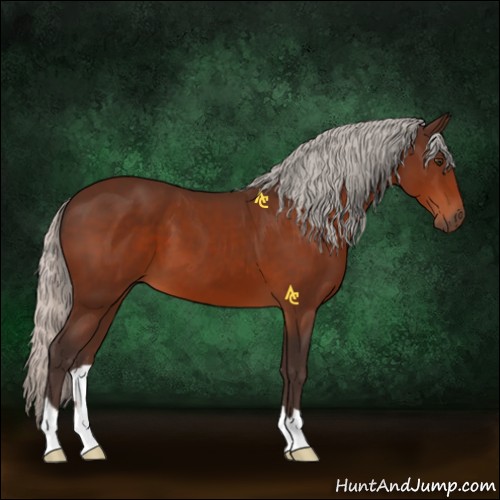 Horse Color:Silver Brown 