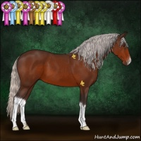 Horse Color:Silver Brown 