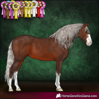 Horse Color:Silver Brown 
