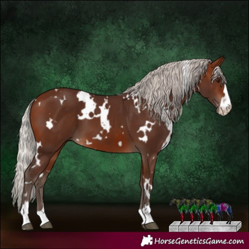 Horse Color:White Spotted Silver Brown