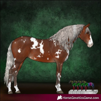 Horse Color:White Spotted Silver Brown 