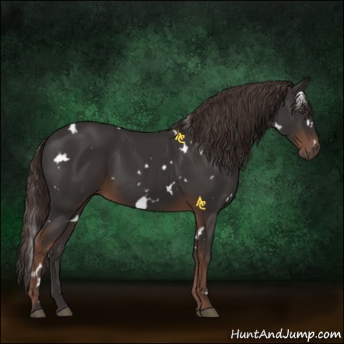 Horse Color:White Spotted Liver Chestnut 