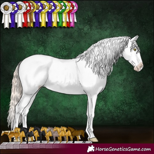 Horse Color:Gold Champagne Appaloosa Rabicano 