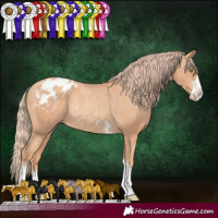 Horse Color:Gold Champagne Varnish Rabicano 
