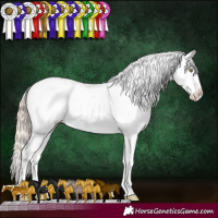 Horse Color:Gold Champagne Appaloosa Rabicano