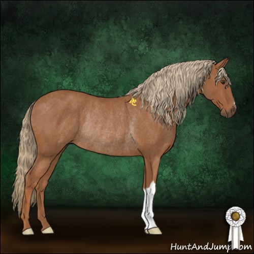 Horse Color:Chestnut Rabicano 