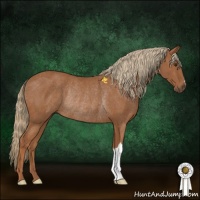 Horse Color:Chestnut Rabicano 