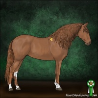 Horse Color:Chestnut 