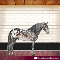 Horse Color:White Spotted Brown Mushroom Tobiano Appaloosa Rabicano 