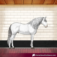 Horse Color:White Spotted Brown Mushroom Tobiano Appaloosa Rabicano