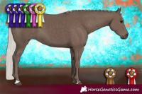 Horse Color:Silver Black Rabicano