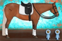 Horse Color:Silver Bay Rabicano