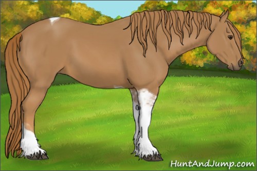 Horse Color:Chestnut Tobiano Rabicano