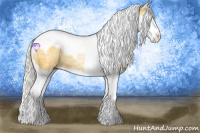 Horse Color:Palomino Ice Splash Tobiano 