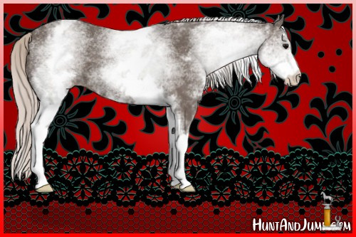 Horse Color:White Spotted Silver Black Sabino 