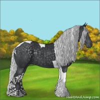Horse Color:Silver Black Chinchilla Tobiano 