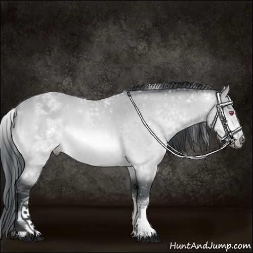 Horse Color:White Spotted Bay Chinchilla Frame