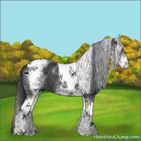 Horse Color:White Spotted Black Tobiano