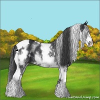Horse Color:White Spotted Black Tobiano 