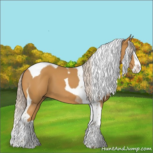 Horse Color:Palomino Splash Tobiano 