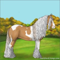 Horse Color:Palomino Splash Tobiano 