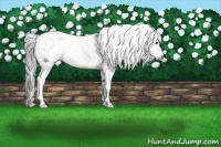 Horse Color:Gray Bay Tobiano