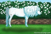 Horse Color:Gray Thunderstruck Bay Roan Tobiano 