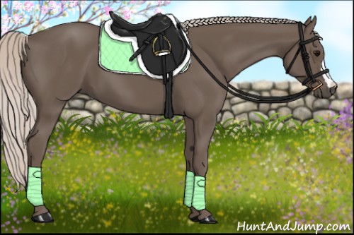 Horse Color:Silver Black 