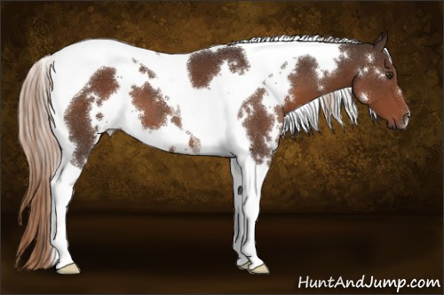 Horse Color:White Spotted Liver Chestnut Tobiano 