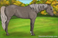 Horse Color:Silver Black 