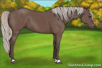 Horse Color:Silver Black 