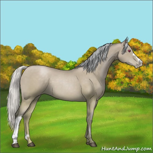Horse Color:Silver Black Chinchilla Pearl 