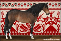 Horse Color:Gray Brown Sabino Rabicano