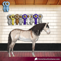 Horse Color:Sable Champagne Dun Frame 