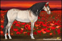 Horse Color:Sable Champagne Dun Brindle